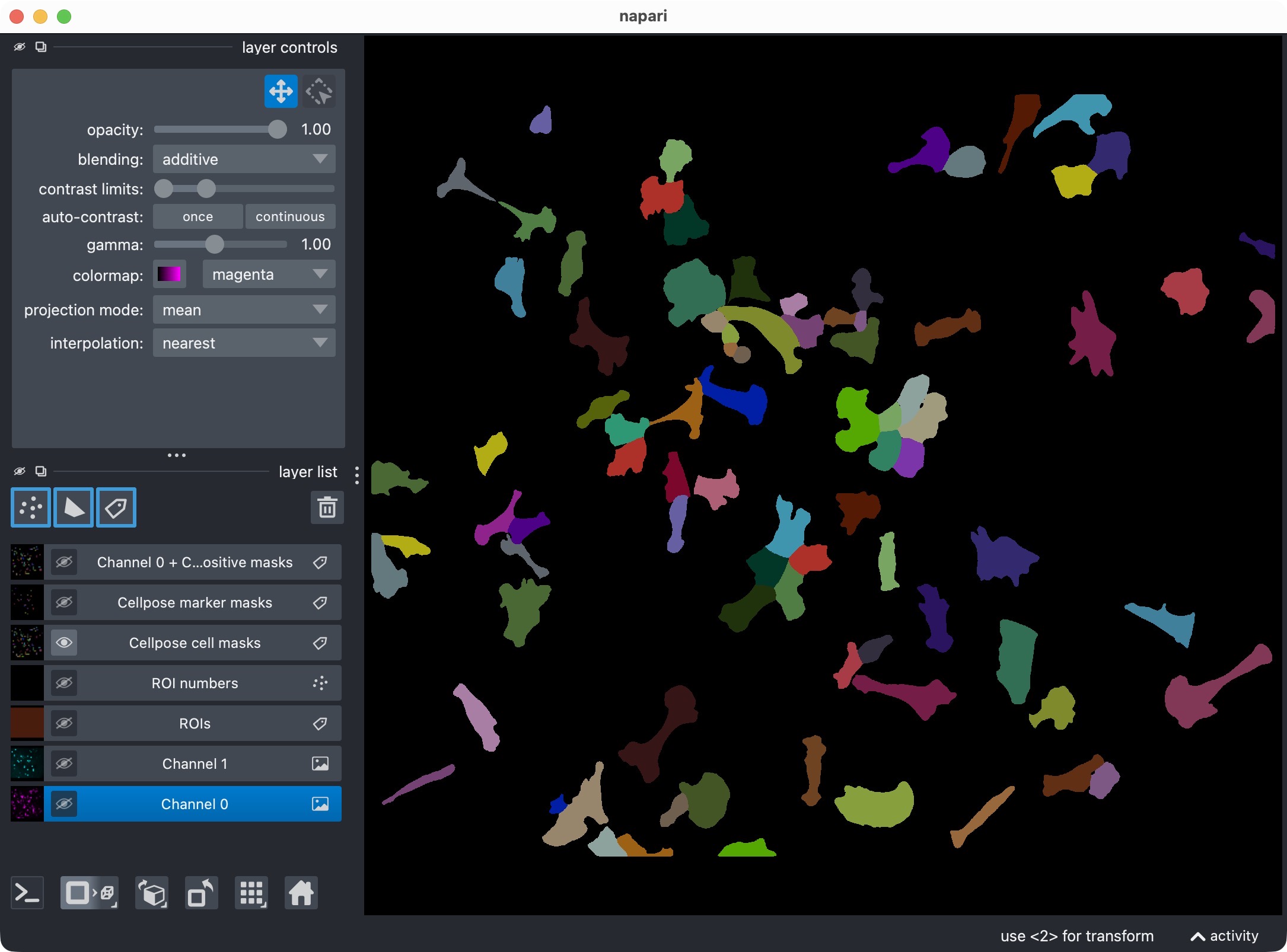 Segmentation result for channel 0 only, showing the segmented cell masks.