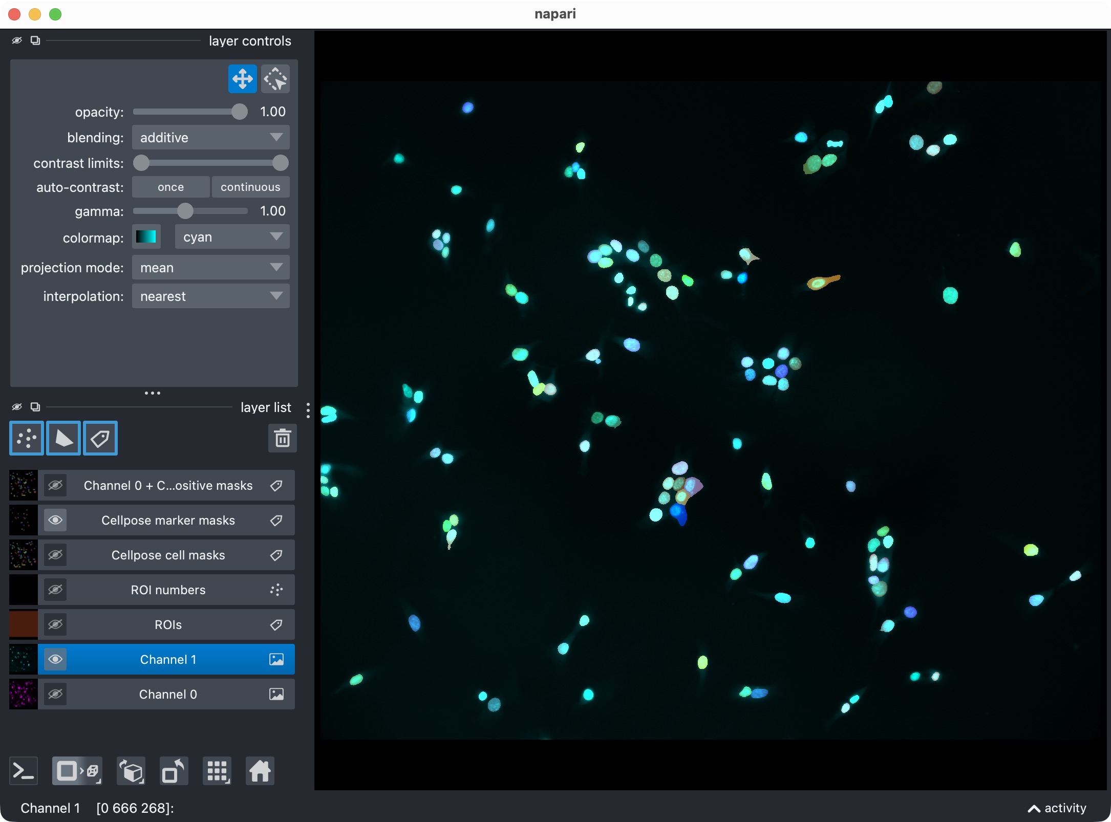 Segmentation result for channel 1 (marker channel) shown in napari together with the original image for reference.