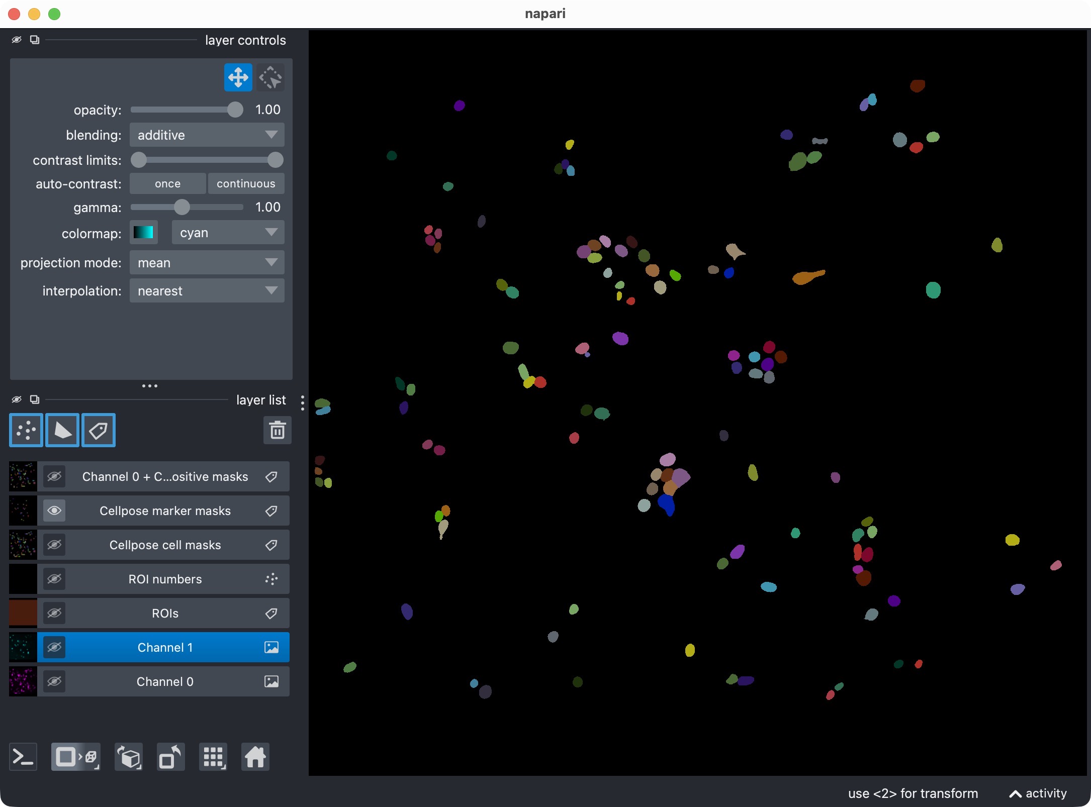 Segmentation result for channel 1 only, showing the segmented marker masks.