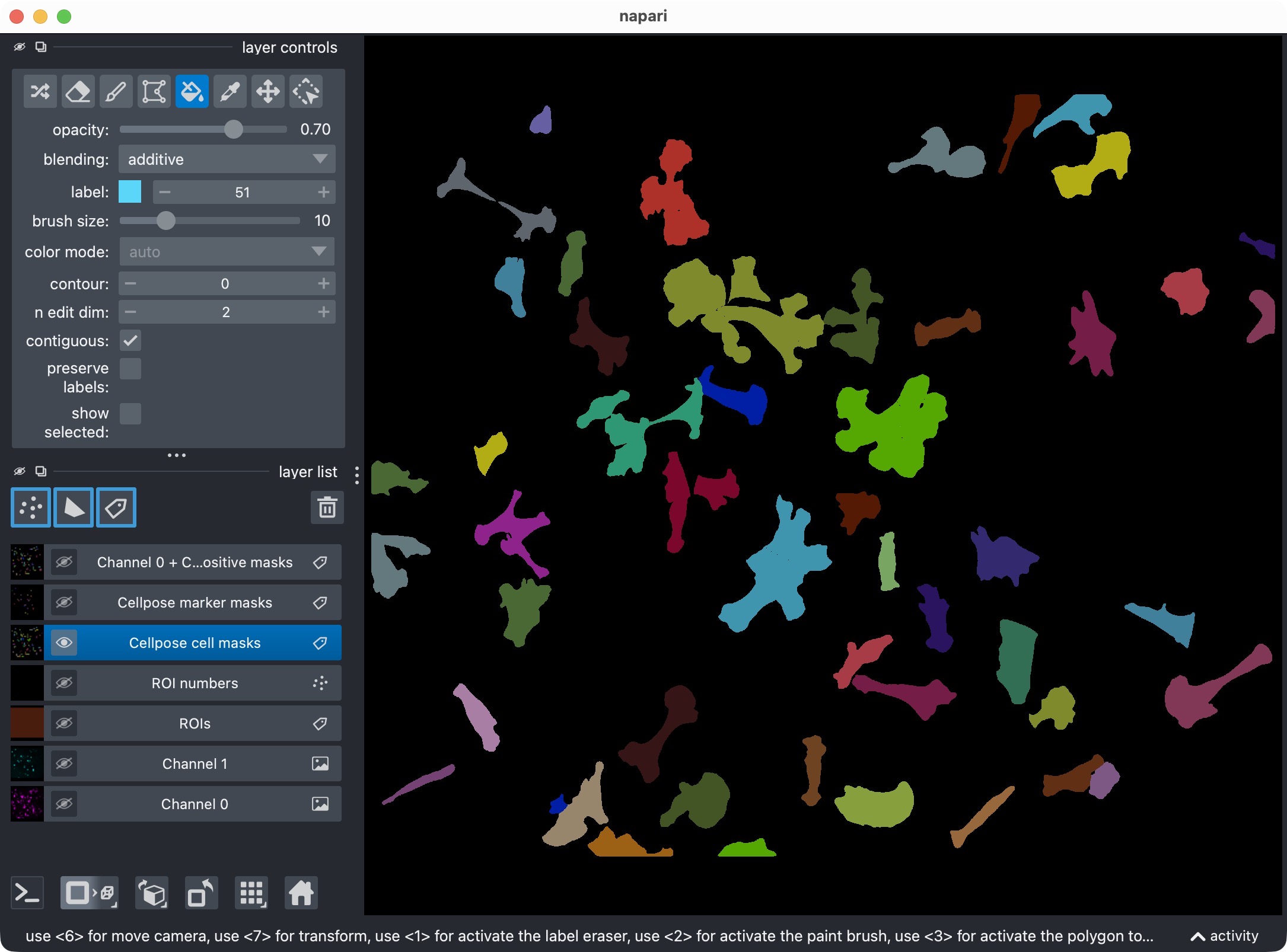 Manually edited label layers in napari, showing the corrected marker masks.