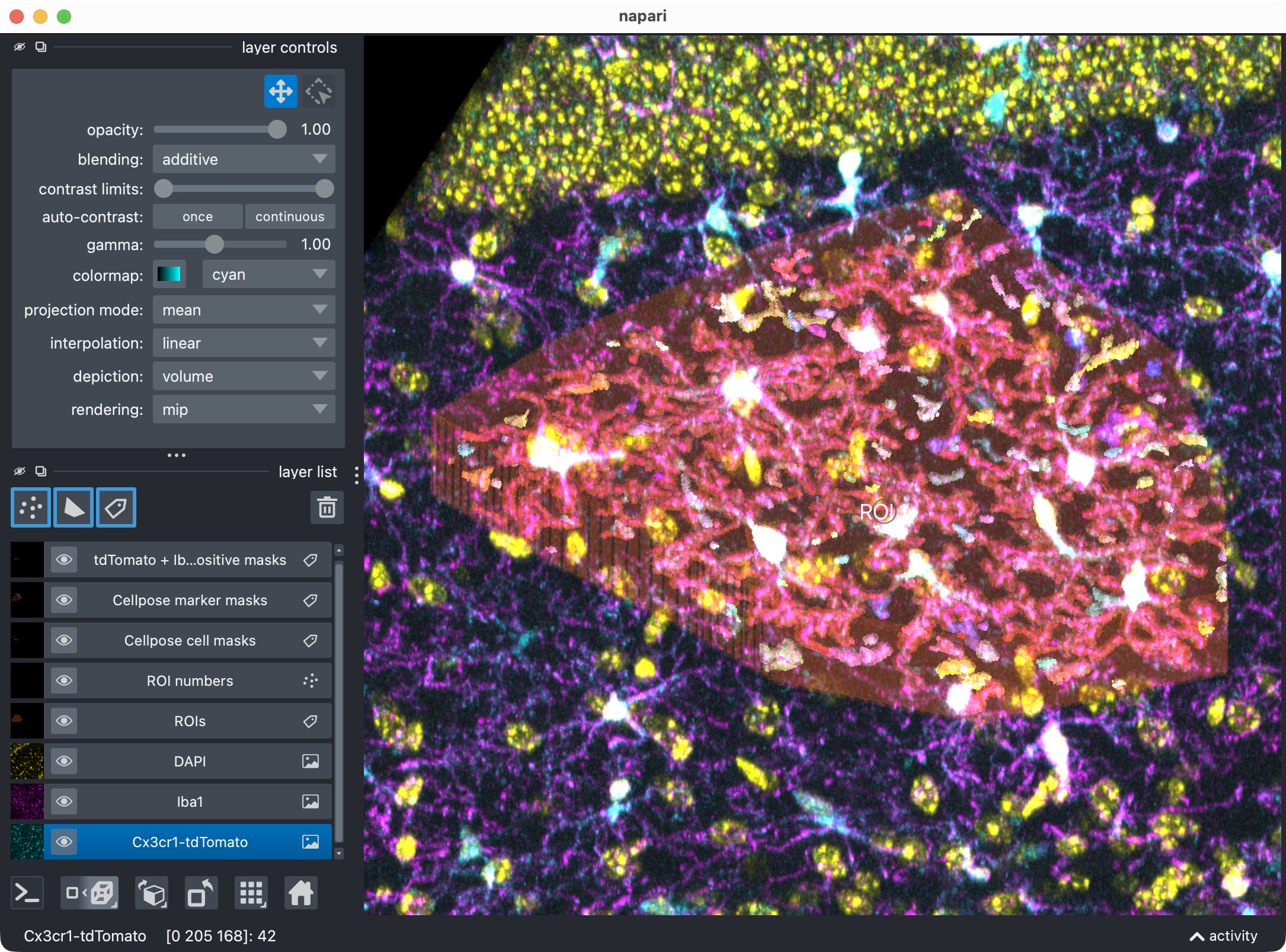 Napari viewer showing the raw image channels together with the derived label layers for ROIs, cell masks, marker masks, and positive-cell masks.