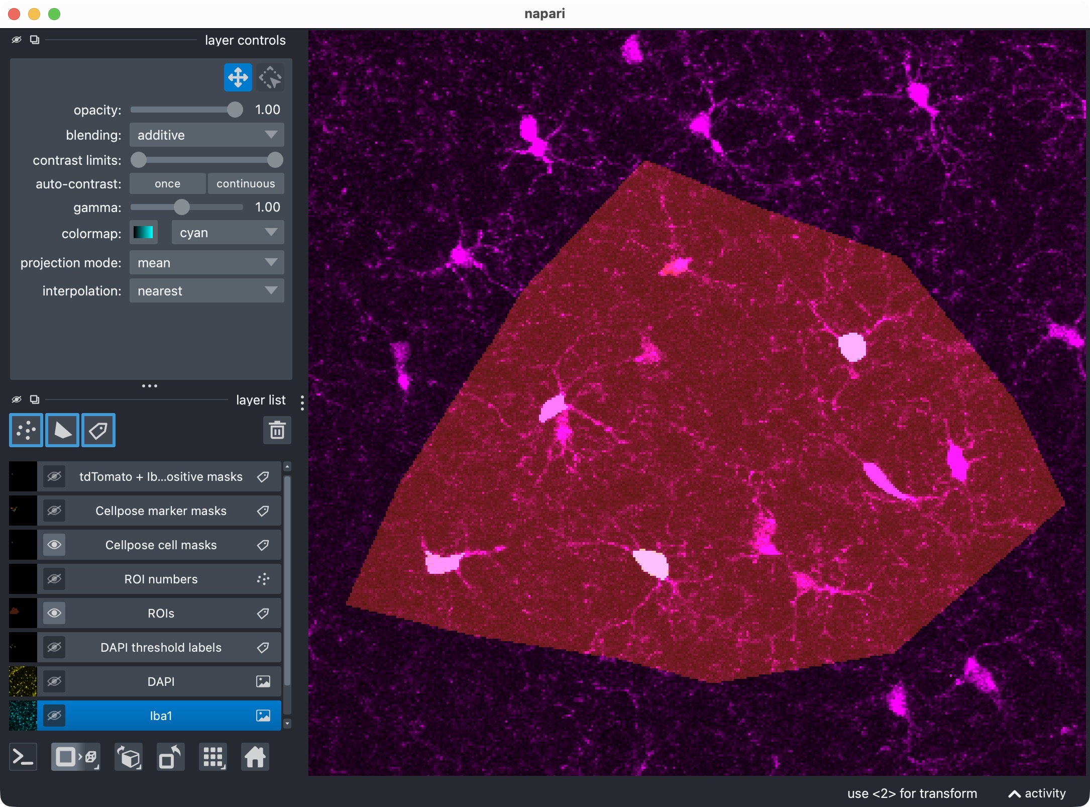 Microglia channel only.