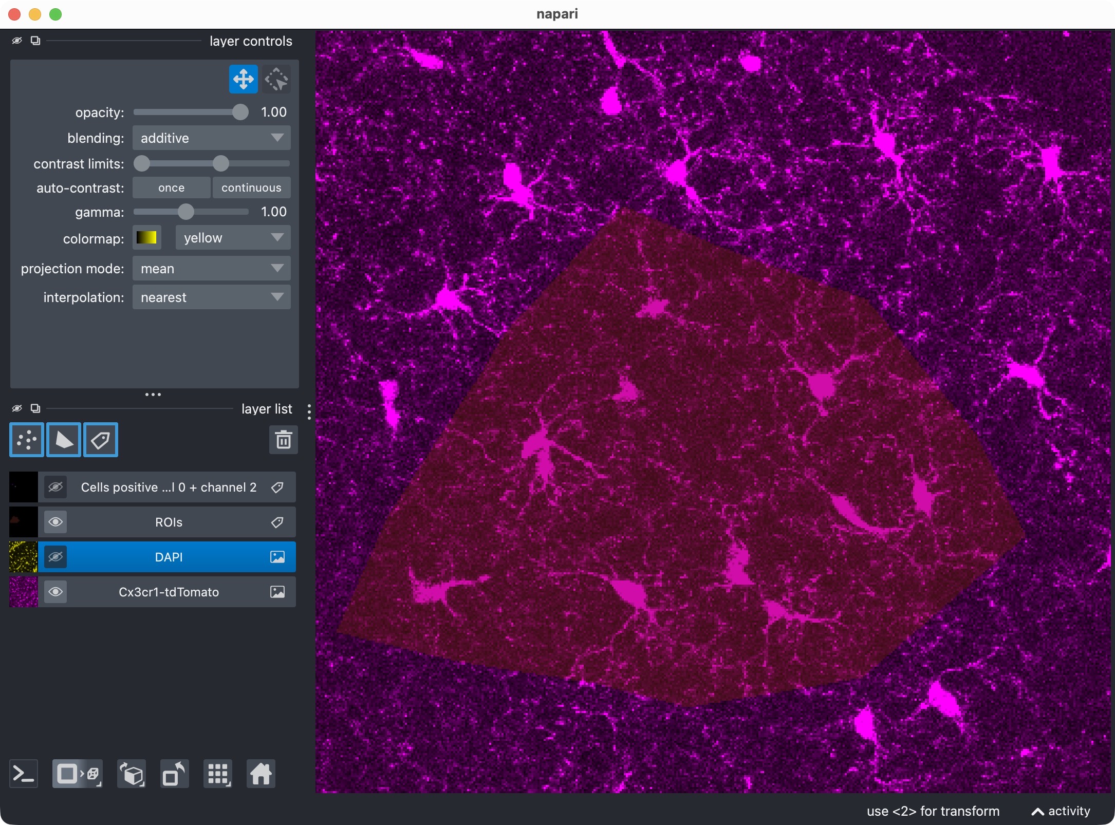 The microglia channel only.