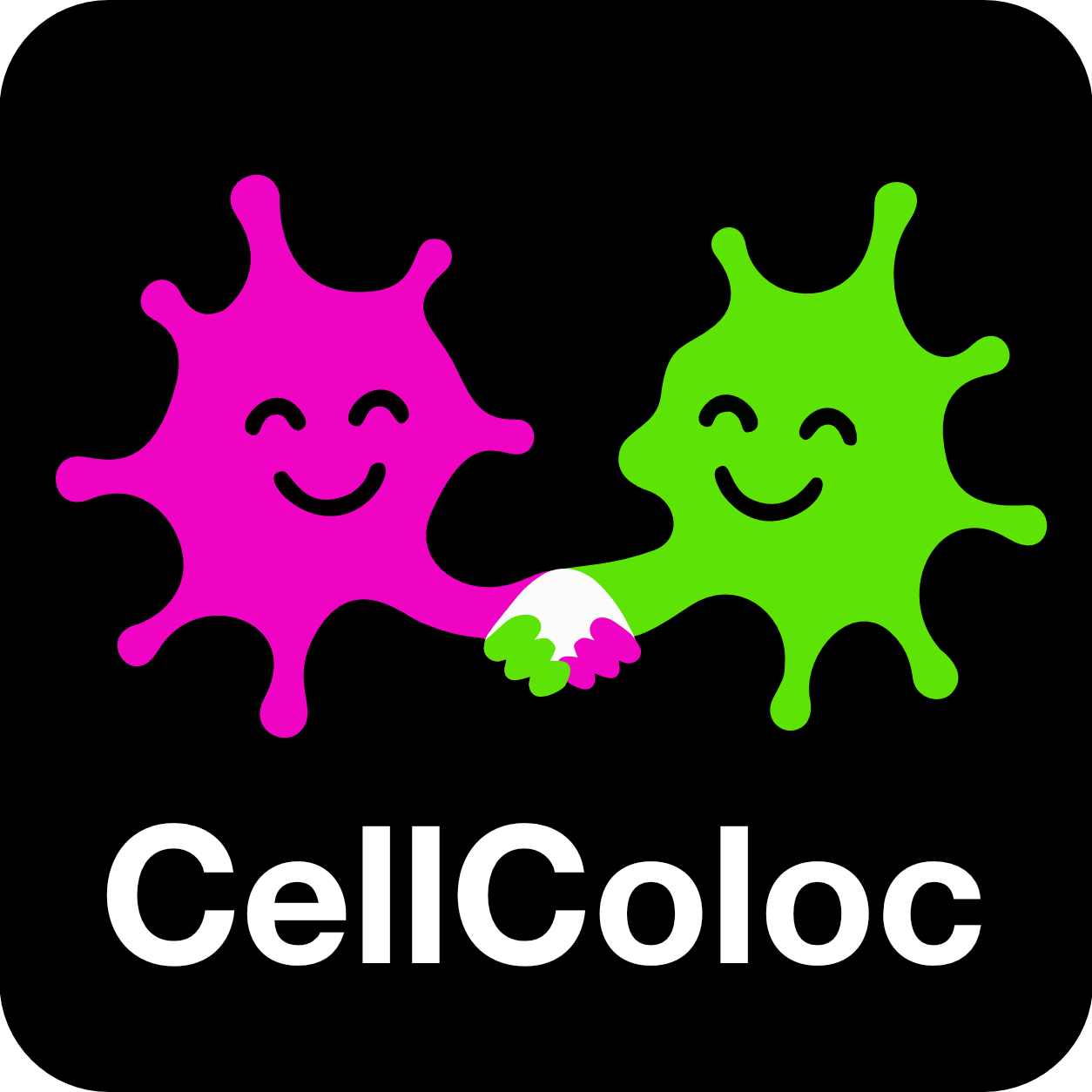 CellColoc overview
