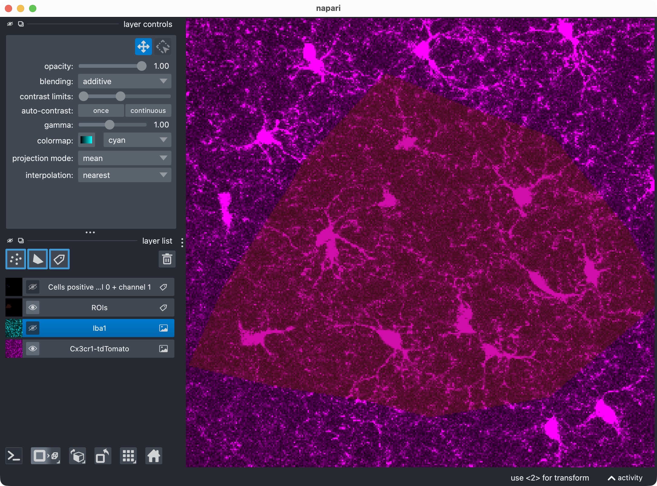 The microglia channel only.
